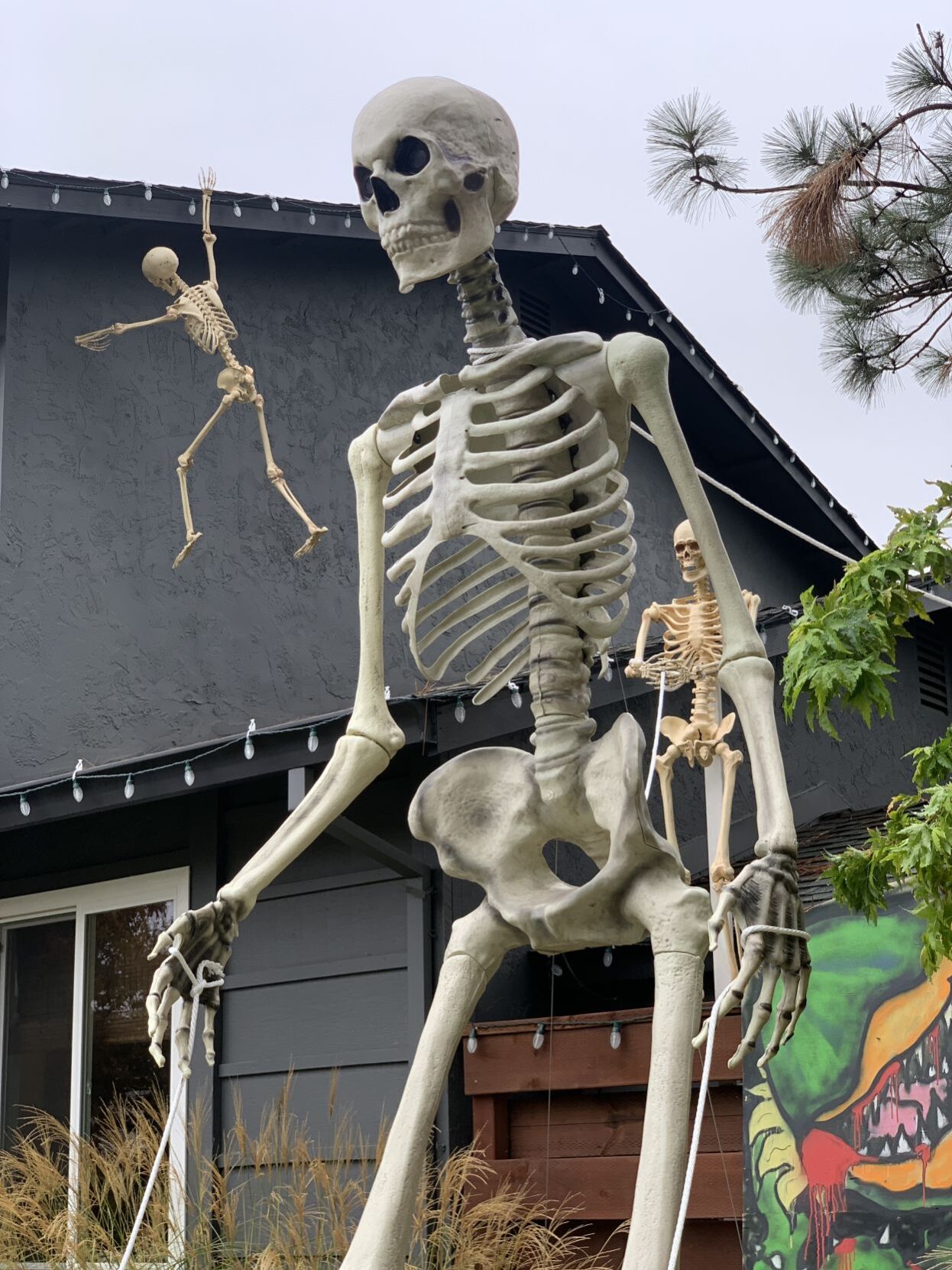 Skeletons take over Napa house for Halloween